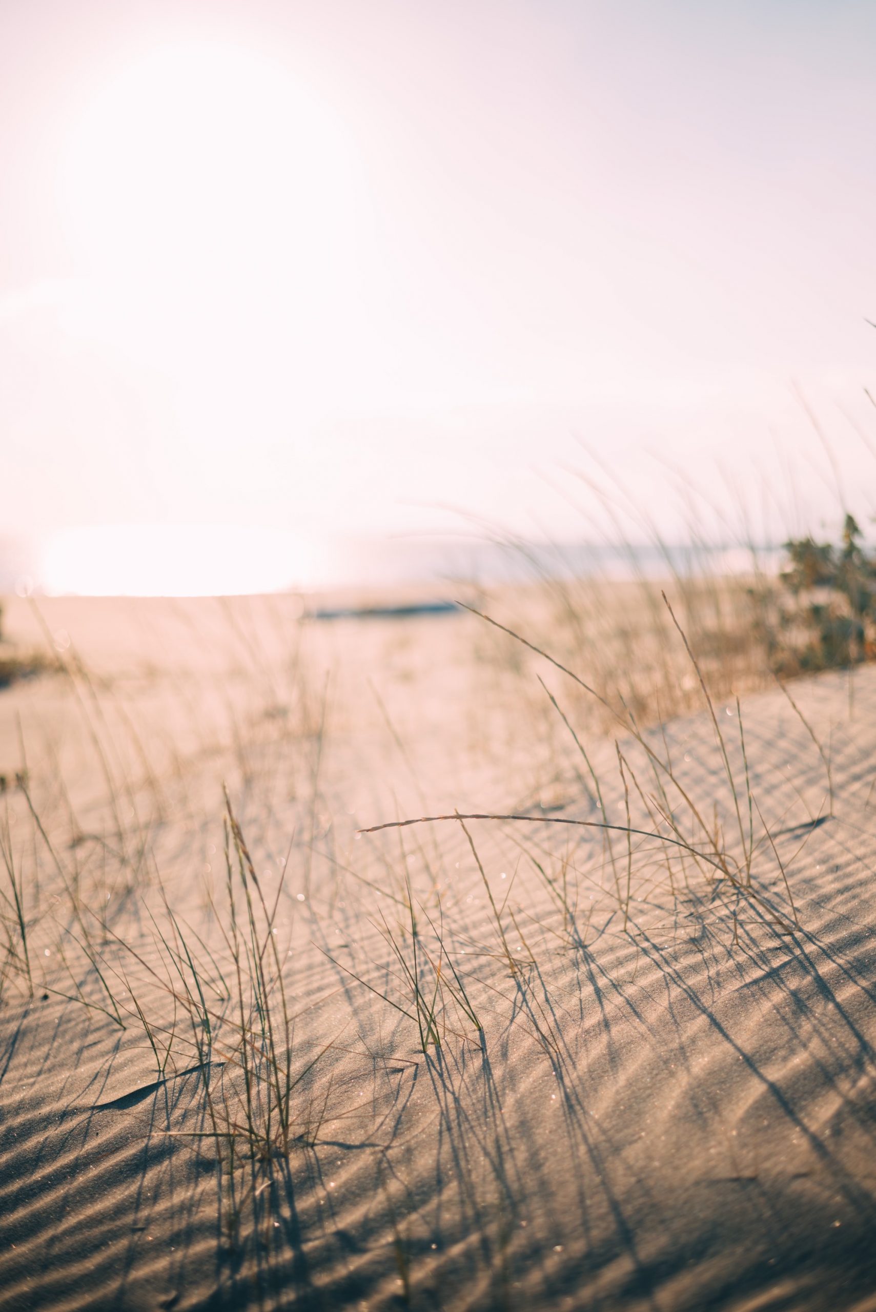 Chercheuse de sens - Capucine Perigault - sable plage bretagne